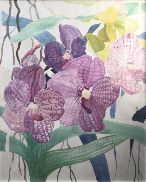 orquídeas 1